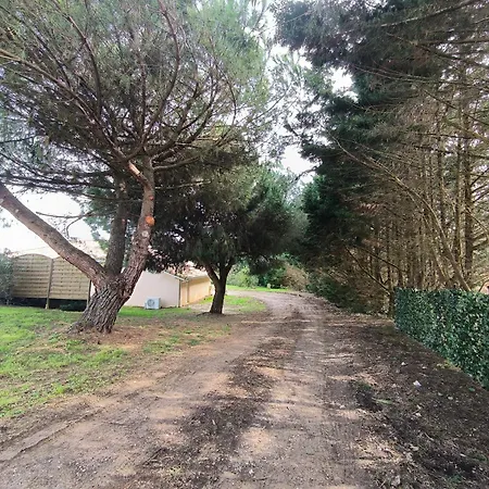 Sheila - Au Bord De L'eau Avec Piscine Vila Prechac (Gers)