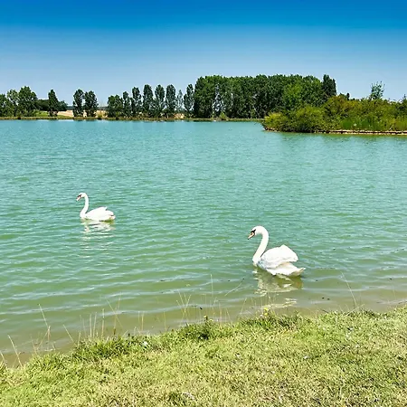 Sheila - Au Bord De L'eau Avec Piscine *