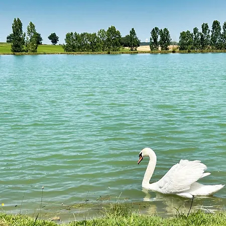 Sheila - Au Bord De L'eau Avec Piscine * Prechac (Gers)