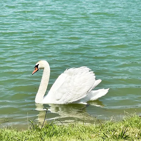 Sheila - Au Bord De L'eau Avec Piscine Villa