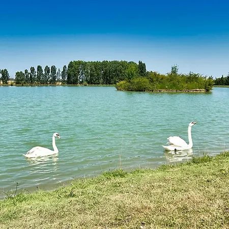 Villa Sheila - Au Bord De L'eau Avec Piscine *